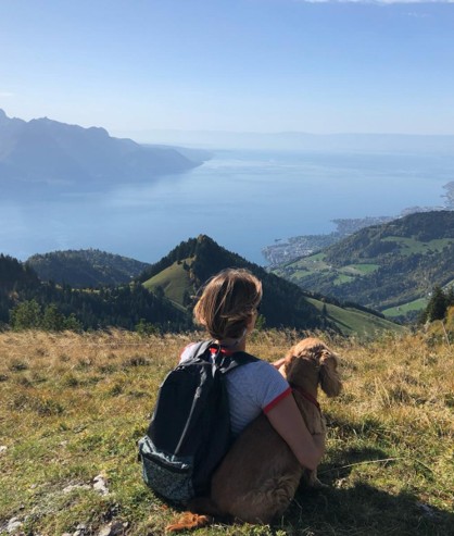 Fripouille, wonderful dog Fripouille, more than a card game, a sustainability engagement tool