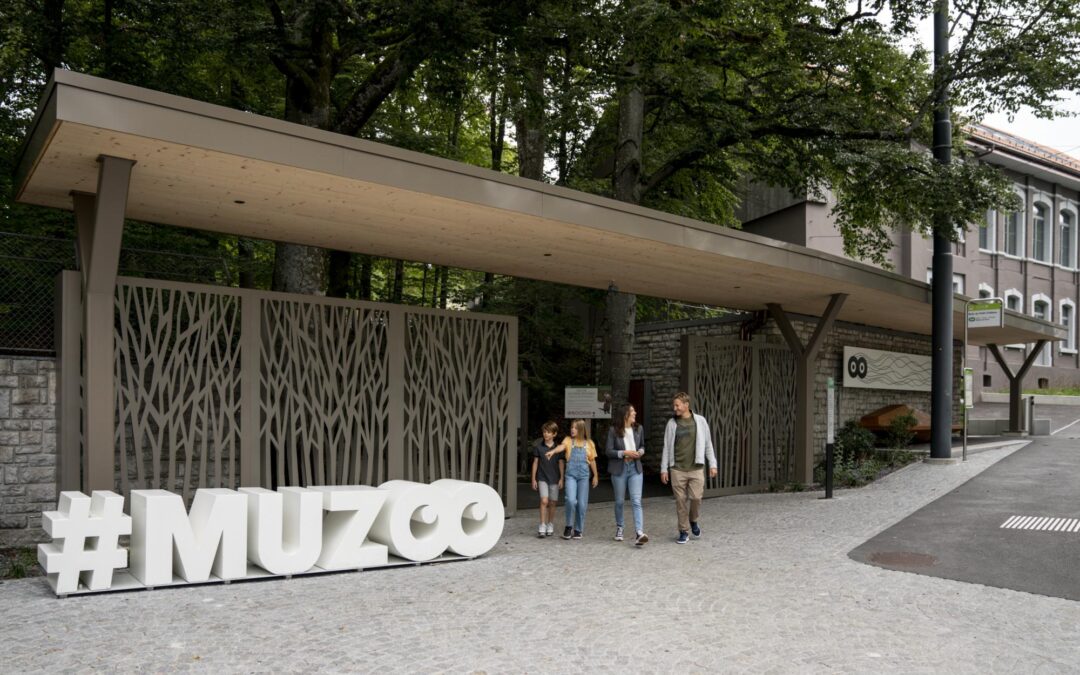 Partnership: MUZOO, CH